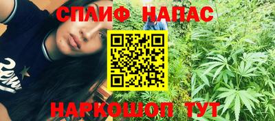 сатива Дубна