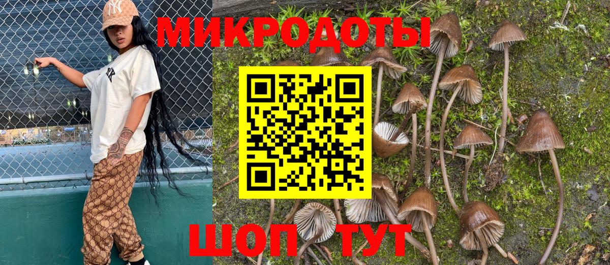 Галлюциногенные грибы Magic Shrooms Малоярославец