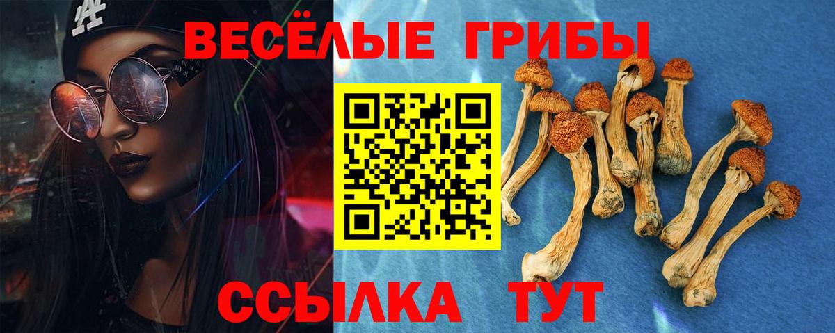 Псилоцибиновые грибы Psilocybe  Вход с VPN  Малоярославец  Галлюциногенные грибы мицелий 